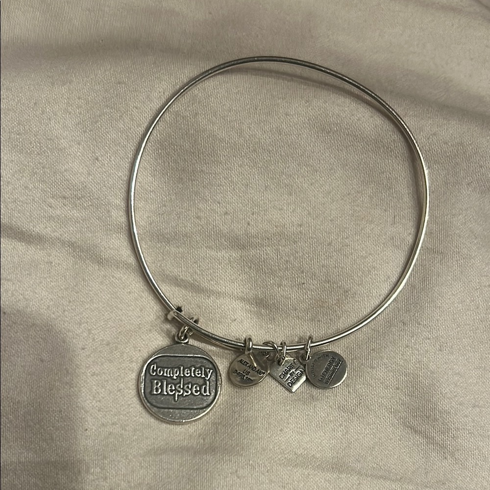 Alex and Ani Completely Blessed Silver Charm Bangle Bracelet